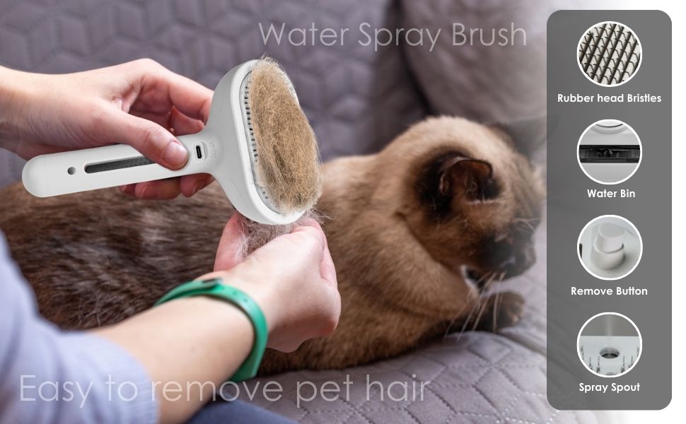 Mist Massage Brush